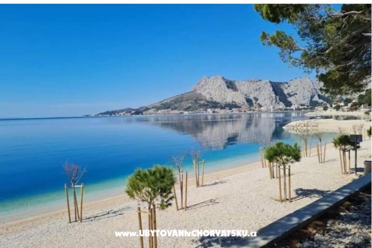 Apartments Diridonda – photo 56