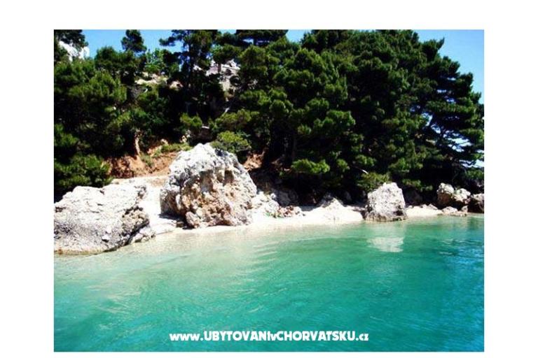 Apartments Loncar – photo 6
