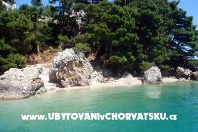 Apartments Marija Medic – photo 5