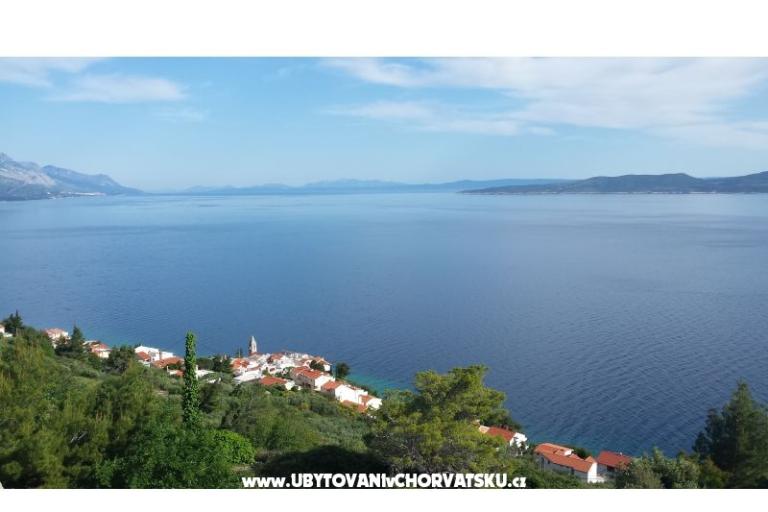 Apartments Miran – photo 7