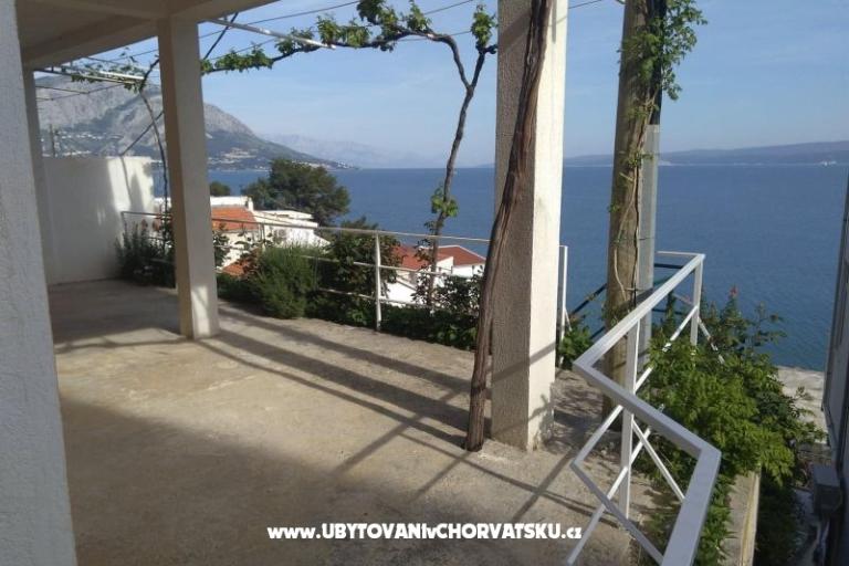 Apartments Mušac – photo 6