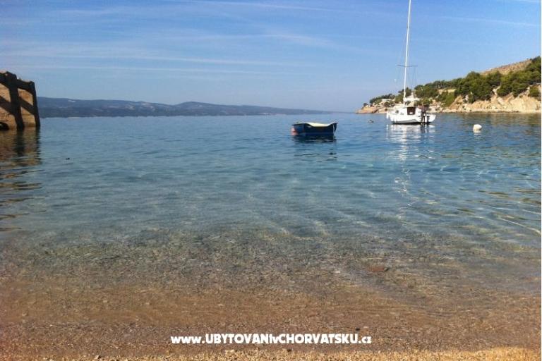 Apartments Nedo Dalmatia – photo 15