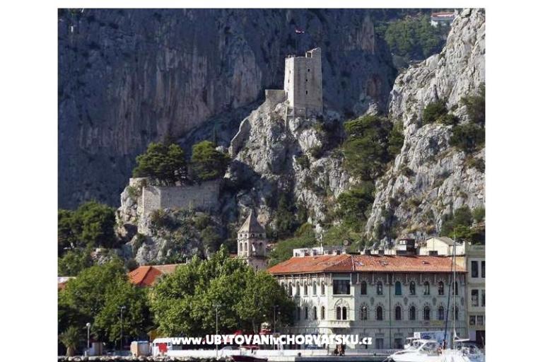 Apartments Nedo Dalmatia – photo 16