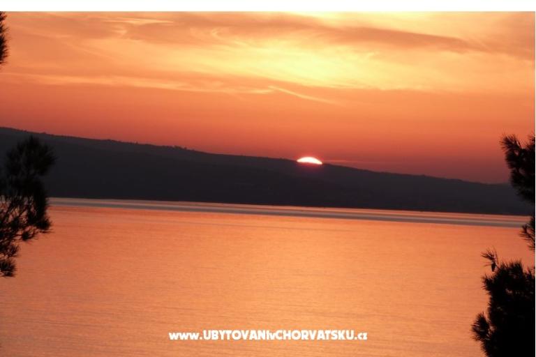Apartments Nedo Dalmatia – photo 9