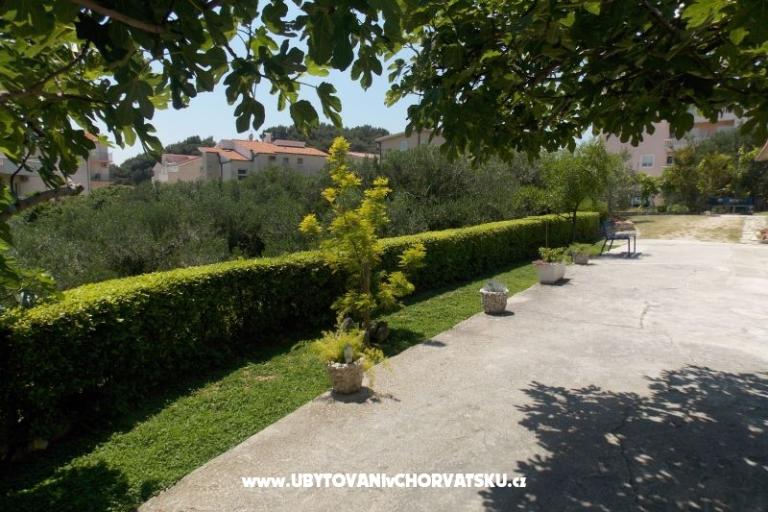 Apartments Nikola Škarica – photo 10