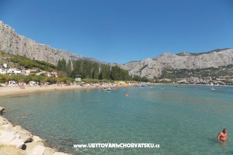 Apartments Nikola Škarica – photo 4