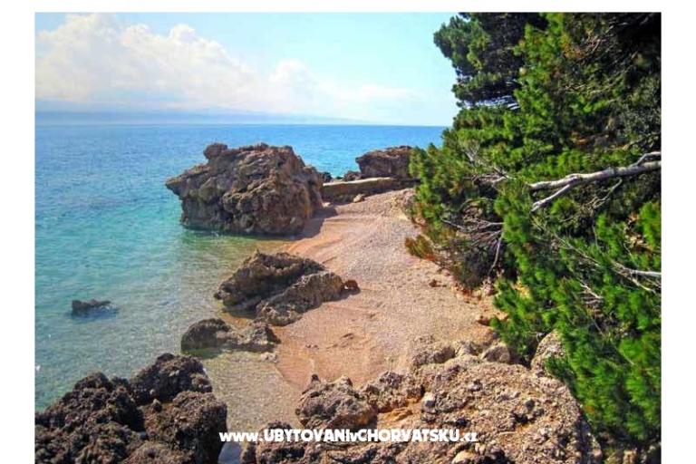 Apartments Ban (Medići) – photo 12