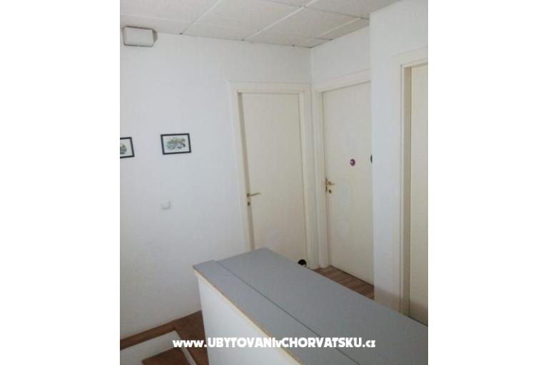 Apartments Terezia – photo 8