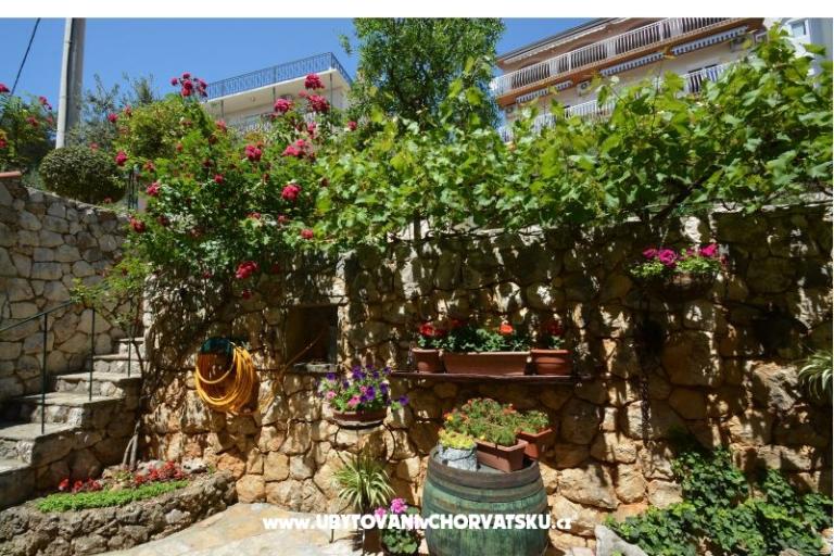 Apartment Vesela  – photo 2