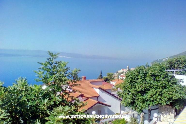 Apartments Zora  – photo 7