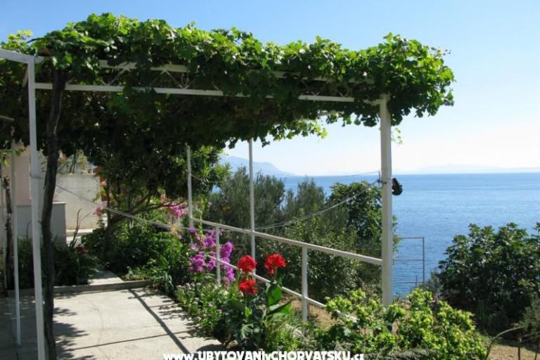 Apartments More – photo 10