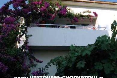  Calypso Diving Apartments – photo 11