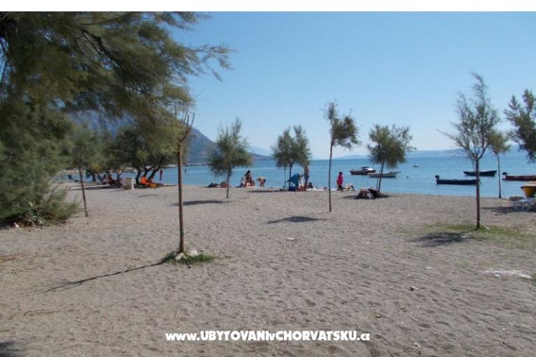 Apartments Miroslav Vojnović – photo 18