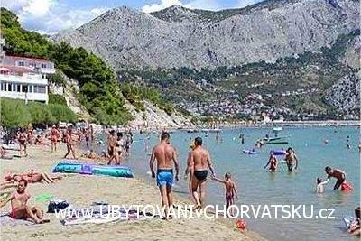 Pansion Radoslav – photo 8