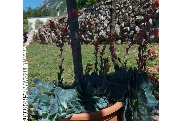 Holiday home – photo 23