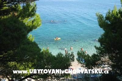Apartments Ariston – photo 4