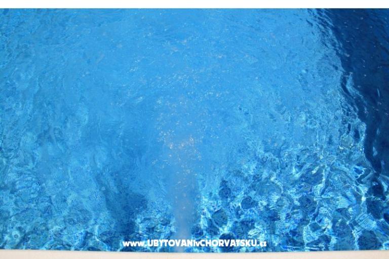 Ljetni san – photo 12