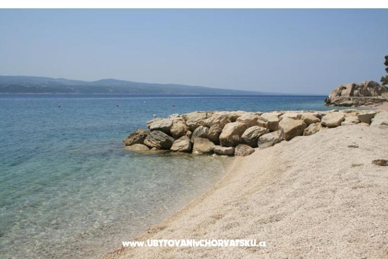 Ljetni san – photo 14