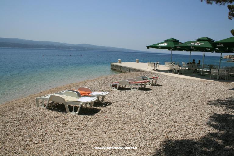 Ljetni san – photo 5