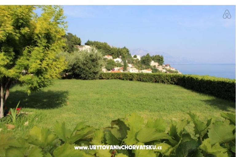 Apartments by the sea – photo 8