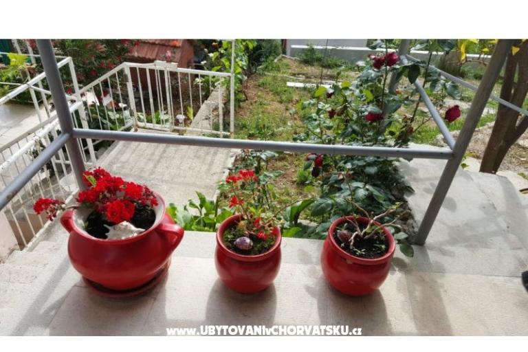 Apartment Mačak – photo 15
