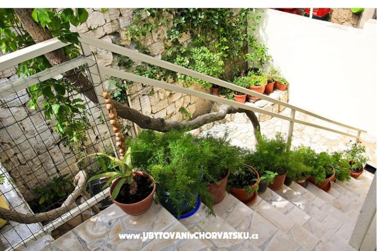 Main Square Apartment – photo 5