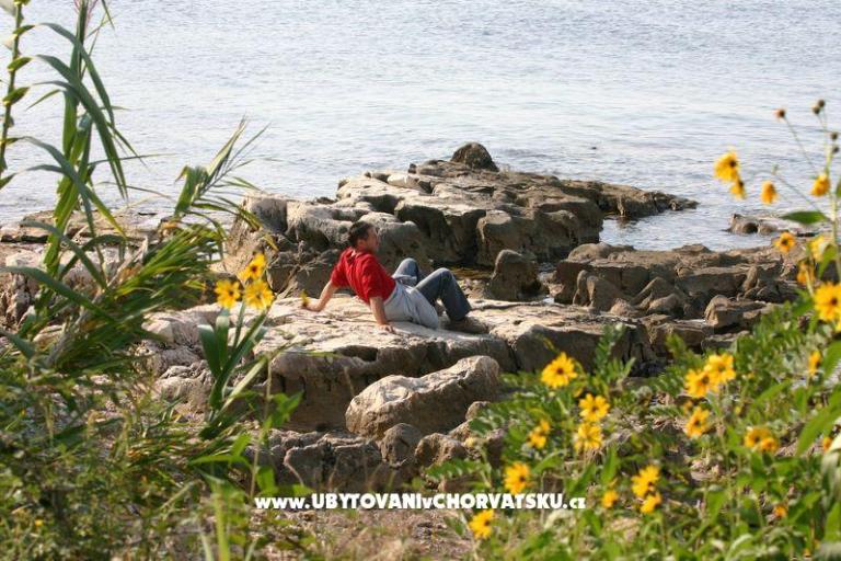 Bungalows Savudrija – photo 8