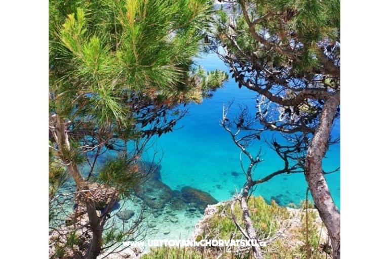 Pansion-Restoran Skalinada – photo 15