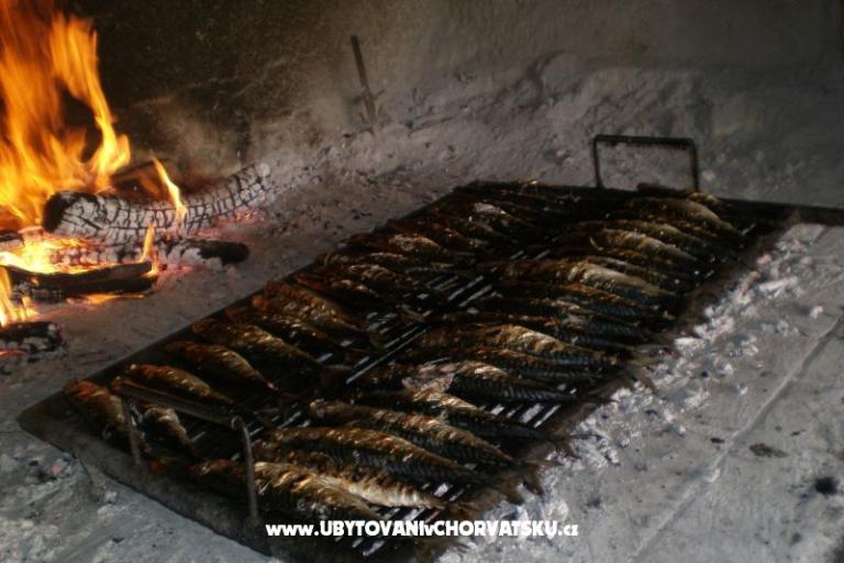 Pansion Šarić – photo 12