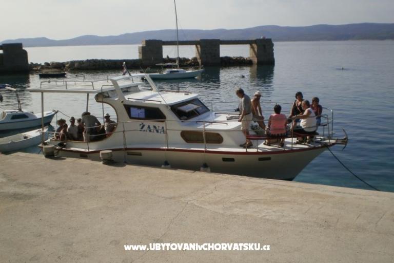 Pansion Šarić – photo 13