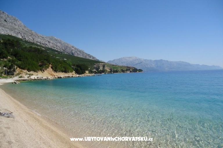 Pansion Šarić – photo 14
