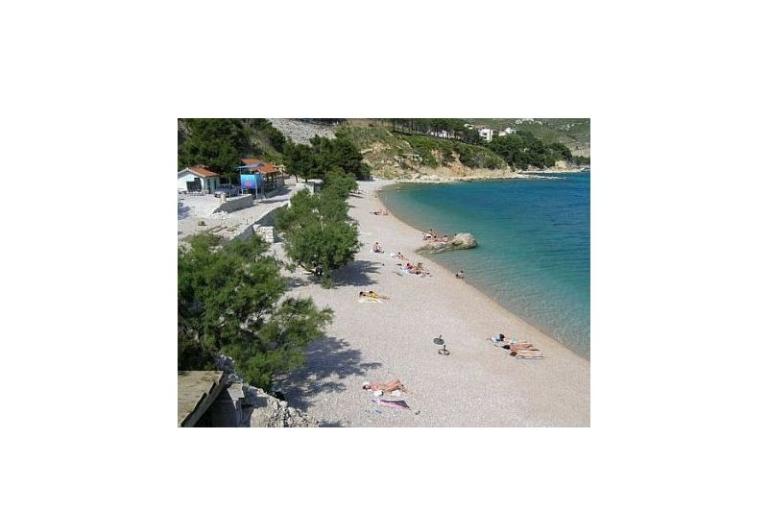 Pansion Šarić – photo 15