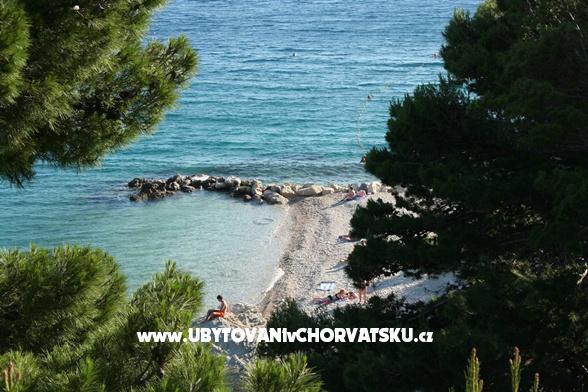Pansion Šarić – photo 8