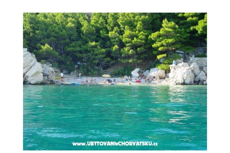 Apartment Vesna – photo 9