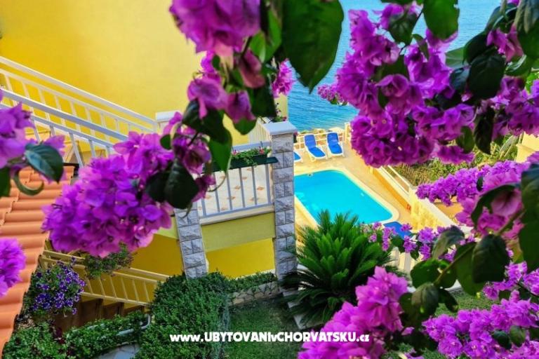 Apartments Villa Mira – photo 3