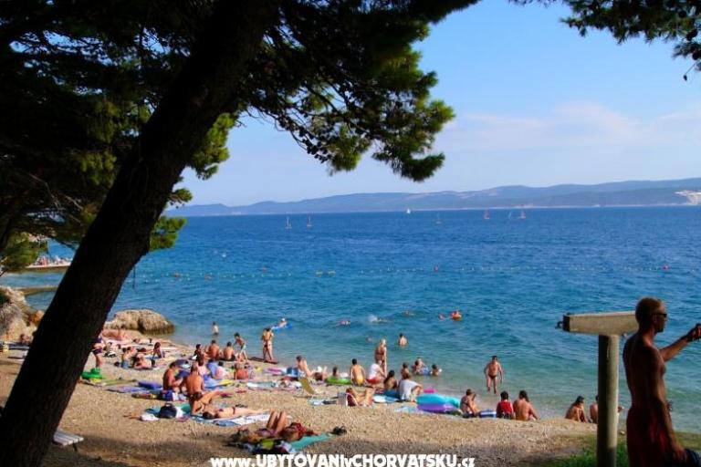 Apartments Zora – photo 9