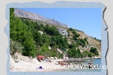 Villa Jana – photo 6