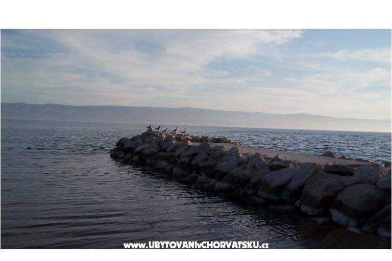 Apartment Cvita – photo 3