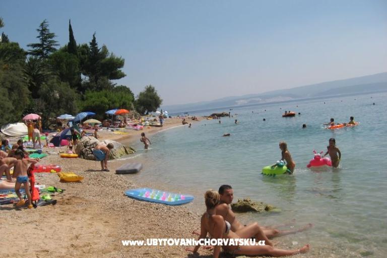 Vila ANI    – photo 14