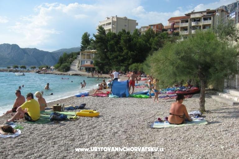 Vila ANI    – photo 15