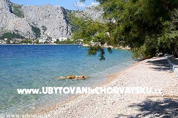Vila Danica – photo 9