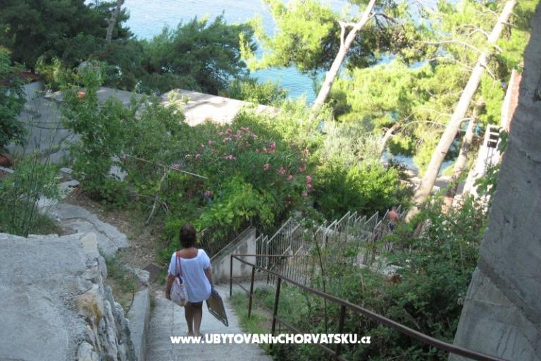 Vila Miko  – photo 11