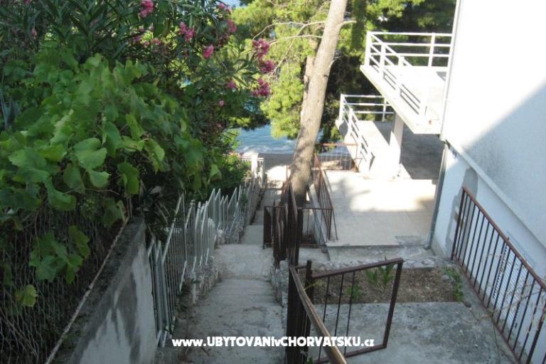 Vila Miko  – photo 12