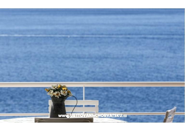 Villa Boris – photo 12