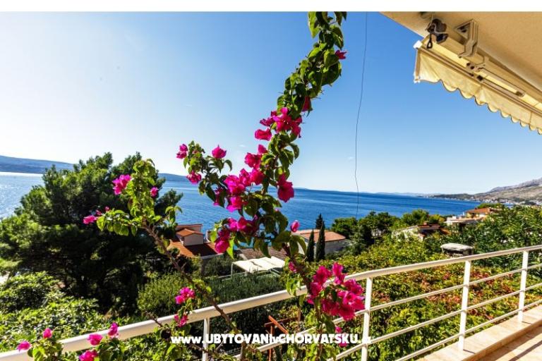 Villa Boris – photo 6