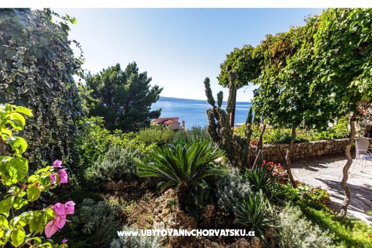 Villa Boris – photo 7