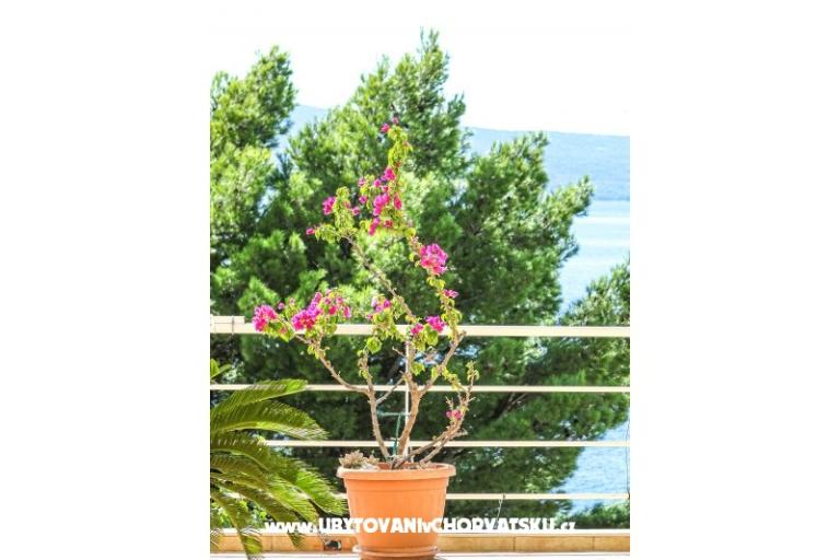 Villa Boris – photo 9