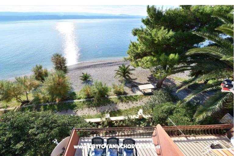 villa Bose – photo 8