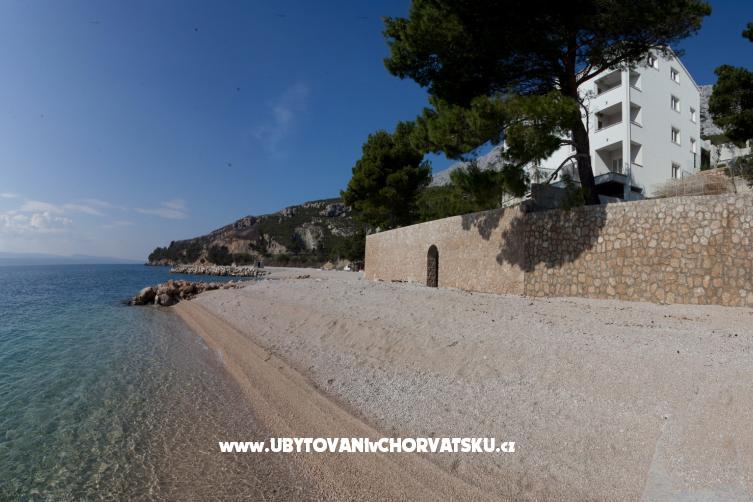 Villa Carica – photo 3