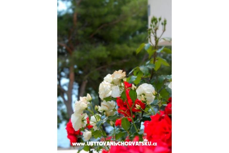 Villa Golubinka – photo 5
